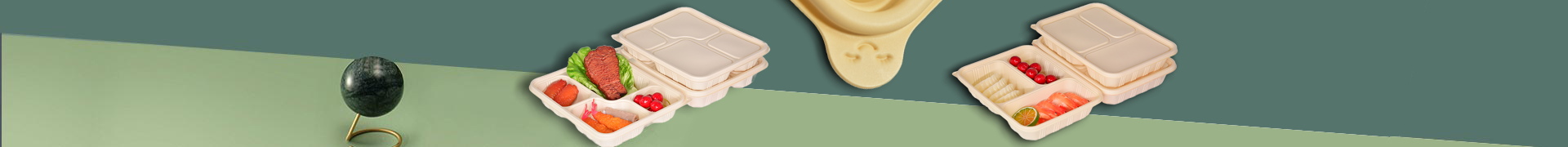 Biodegradable Lunch Boxes - HERIDER Biodegradable Co.,Ltd.