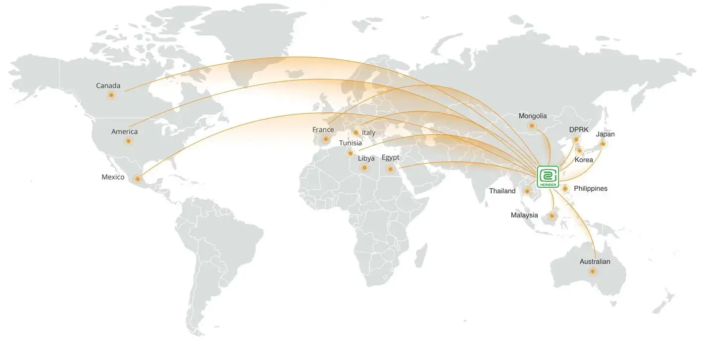 Sales Network -  - 2